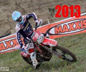 Puzzle Alex Salvini παγκόσμιος πρωταθλητής του enduro 2013