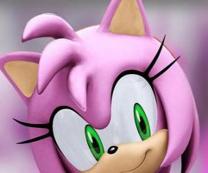 Puzzle Amy Rose είναι ένα ροζ σκαντζόχοιρος με πράσινα μάτια, είναι τρελά ερωτευμένος με τους Sonic