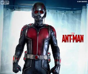 Puzzle Ant-Man