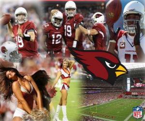 Puzzle Arizona Cardinals