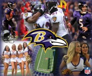 Puzzle Baltimore Ravens