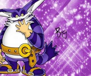 Puzzle Big the Cat, η μεγάλη γάτα που εμφανίζεται στο τις περιπέτειες του Sonic