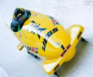 Puzzle Bobsleigh