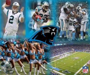 Puzzle Carolina Panthers