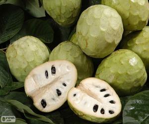 Puzzle Cherimoya