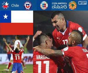 Puzzle CHI φιναλίστ, Copa America 2015