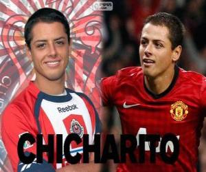 Puzzle Chicharito