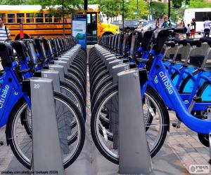 Puzzle Citi Bike, Νέα Υόρκη