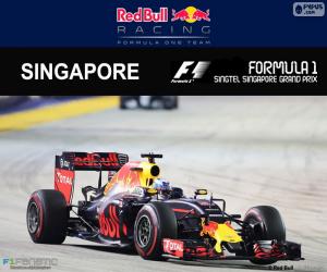 Puzzle Daniel Ricciardo, Grand Prix της Σιγκαπούρης 2016