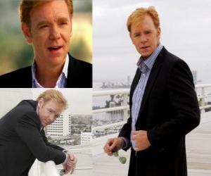 Puzzle David Caruso