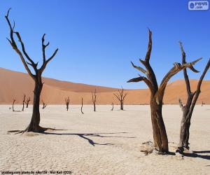 Puzzle Deadvlei, στη Ναμίμπια.