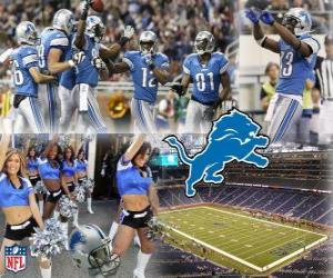 Puzzle Detroit Lions