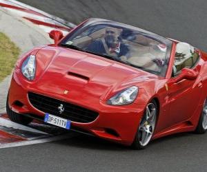 Puzzle Felipe Massa στην οδήγηση Ferrari California - Hungaroring 2010 -