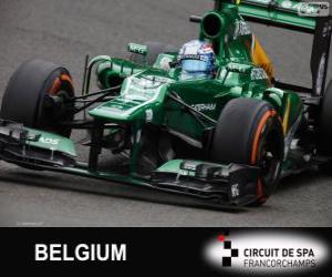 Puzzle Giedo van der Garde - Caterham - Spa-Francorchamps, 2013