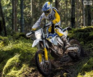 Puzzle Husqvarna FE 501 2015