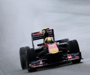 Puzzle Jaime Alguersuari - Toro Rosso - Σαγκάη 2010