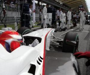 Puzzle Kamui Kobayashi - Sauber BMW - Sepang 2010