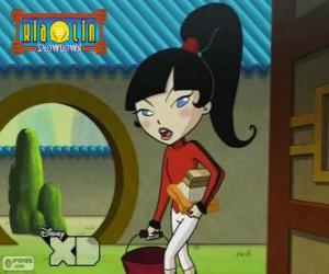 Puzzle Kimiko Tohomiko, Xiaolin δράκος της φωτιάς, το μοναδικό κορίτσι στην ομάδα