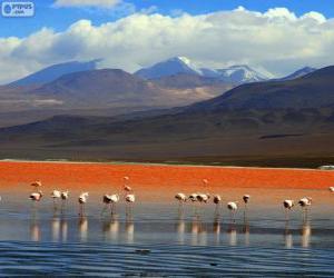 Puzzle Laguna Colorada, Βολιβία