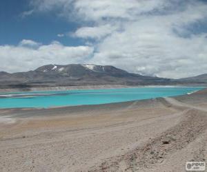 Puzzle Laguna Verde, Χιλή