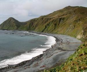 Puzzle Macquarie Island, Τασμανία, Αυστραλία