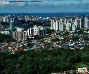 Puzzle Manaus, Βραζιλία