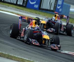 Puzzle Mark Webber - Red Bull - Κωνσταντινούπολη 2010