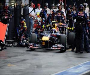 Puzzle Mark Webber - Red Bull - Μελβούρνη 2010