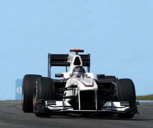 Puzzle Nick Heidfeld - Sauber - Interlagos 2010