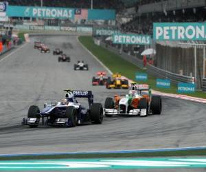 Puzzle Nico Hülkenberg - Williams - Sepang 2010