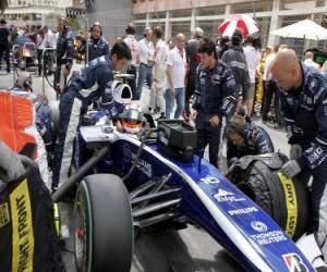 Puzzle Nico Hülkenberg - Williams - Monte-Carlo 2010