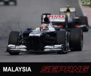 Puzzle Pastor Maldonado - Williams - Sepang 2013