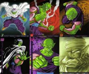 Puzzle Piccolo Piccolo τέρας Daimao γιο, που γεννήθηκε για να πάρει εκδίκηση για Goku. Προέρχεται από τον πλανήτη Namek. Είναι η πρώτη δασκάλα του Son Gohan.