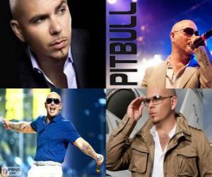 Puzzle Pitbull (Armando Christian Perez), είναι μια μουσική παραγωγός της Κούβας καθόδου