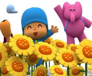 Puzzle Pocoyo και τους φίλους του σε ένα πεδίο ηλιοτρόπια