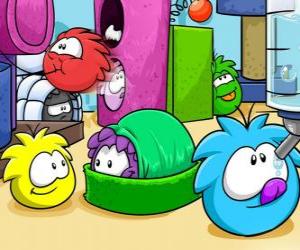 Puzzle Puffles κατοικίδια ζώα στο Club Penguin