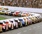 Racing Nascar