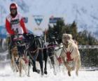 Mushing