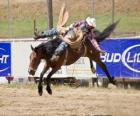 Cowboy οδήγηση ενός αλόγου εκτροφή σε ένα ροντέο