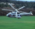 Μεγάλη Cougar EC725 ελικόπτερο