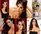 Penelope Cruz είναι η πρώτη ισπανική ηθοποιός για να πάρετε μια χάρη Όσκαρ για την ταινία Vicky Cristina Barcelona σε σκηνοθεσία Γούντι Άλεν.