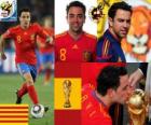 Xavi Hernandez (Η σκυτάλη) Ισπανική Εθνική ομάδα Midfielder