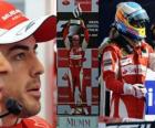 Ο Fernando Alonso πανηγυρίζει τη νίκη του στη Μόντσα, ιταλικό Grand Prix (2010)