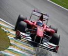 Fernando Alonso - Ferrari - Interlagos 2010