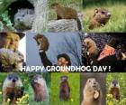 Η ημέρα Groundhog