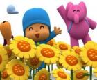 Pocoyo και τους φίλους του σε ένα πεδίο ηλιοτρόπια