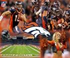 Denver Broncos