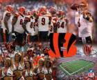 Cincinnati Bengals