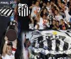 Copa Libertadores 2011 πρωταθλητής Santos FC