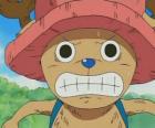 Tony Tony Chopper είναι ένα ιατρικό εμπειρογνώμονα που θα μετατραπεί σε ένα ανθρωπόμορφο πλάσμα